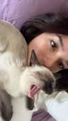 stefaniedra6 Altpins Profile Picture