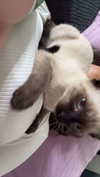 stefaniedra6 Altpins Profile Picture