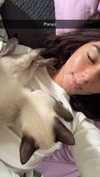 stefaniedra6 Altpins Profile Picture