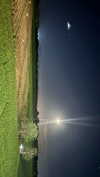 stefaniedra6 Altpins Profile Picture