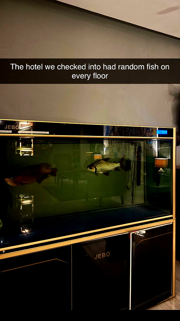 stefaniedra6 snapchat image archive image