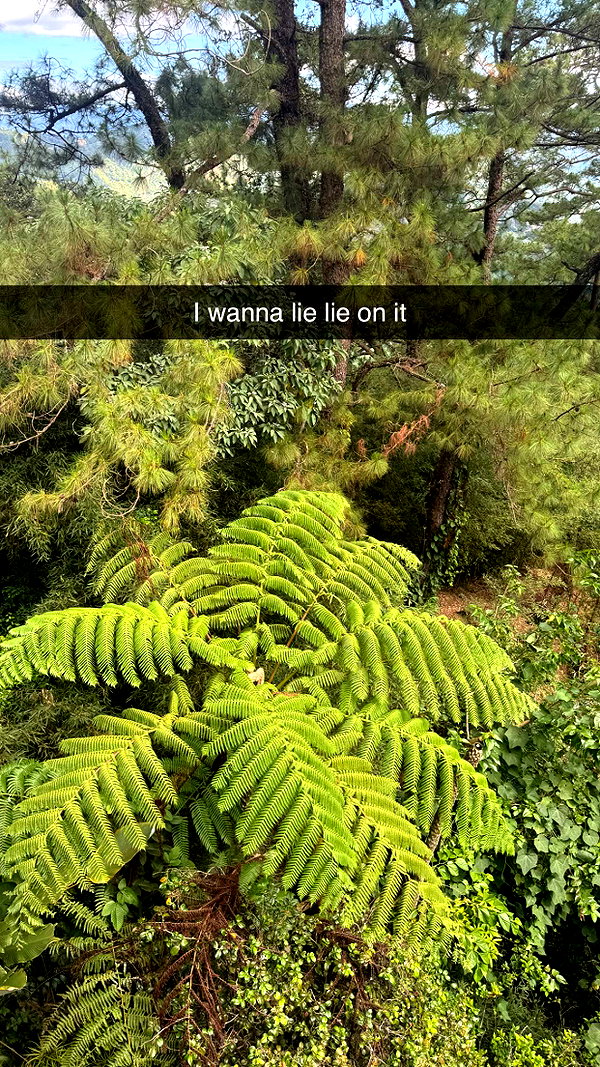 stefaniedra6 snapchat image archive image