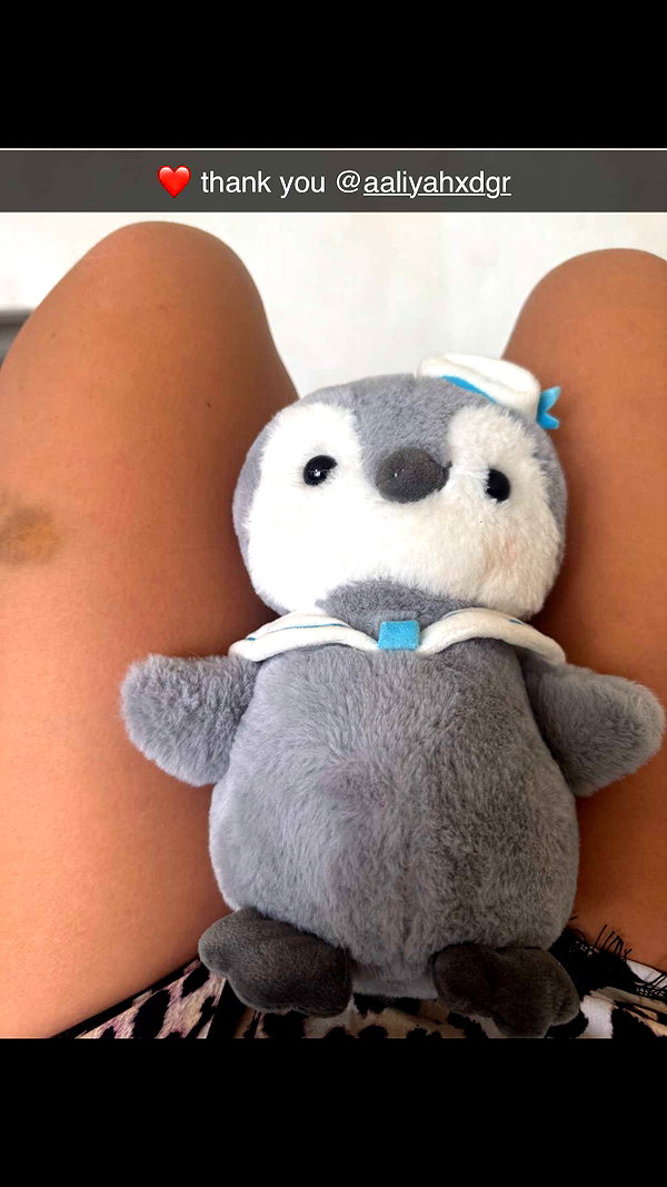 stefaniedra6 snapchat image archive image