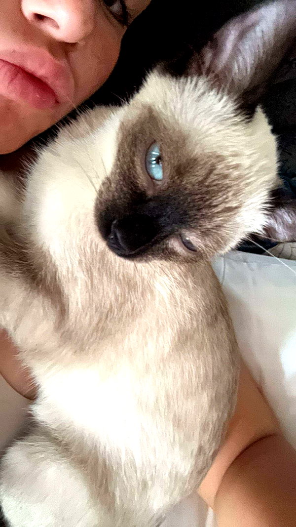 stefaniedra6 snapchat image archive image