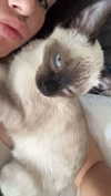stefaniedra6 Altpins Profile Picture