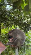 stefaniedra6 Altpins Profile Picture