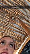 stefaniedra6 Altpins Profile Picture