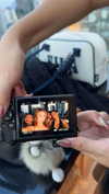 stefaniedra6 Altpins Profile Picture