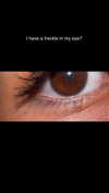 stefaniedra6 Altpins Profile Picture