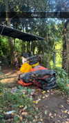 stefaniedra6 Altpins Profile Picture