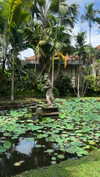 stefaniedra6 Altpins Profile Picture