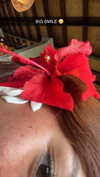 stefaniedra6 Altpins Profile Picture