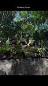 stefaniedra6 Altpins Profile Picture