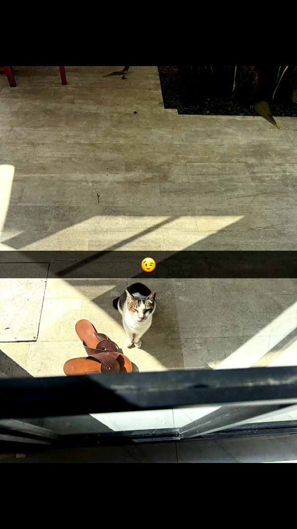 stefaniedra6 snapchat image archive image