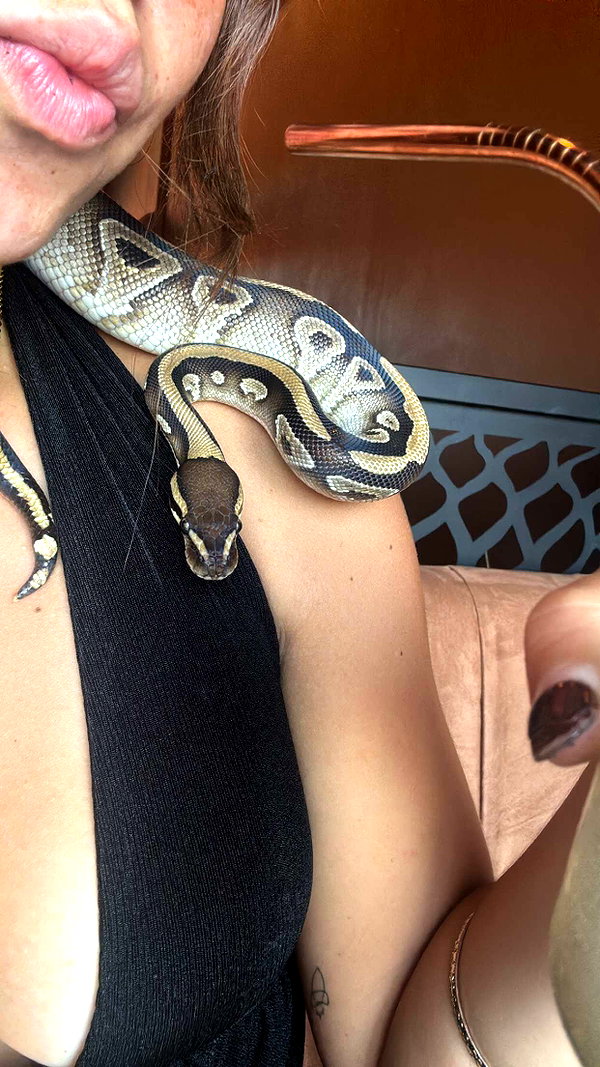 stefaniedra6 snapchat image archive image