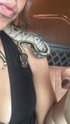 stefaniedra6 Altpins Profile Picture