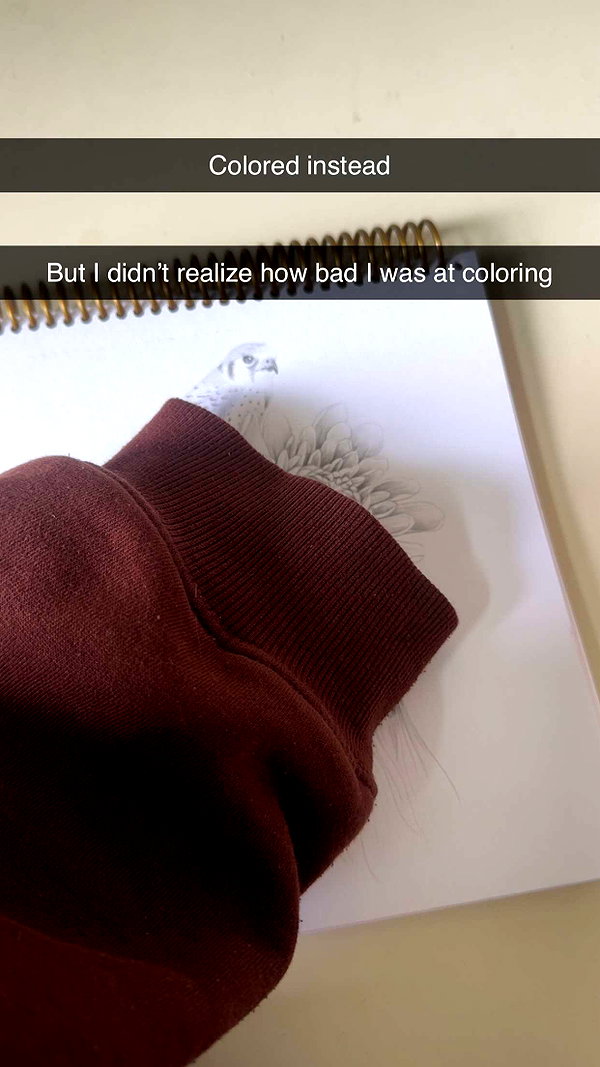 stefaniedra6 snapchat image archive image