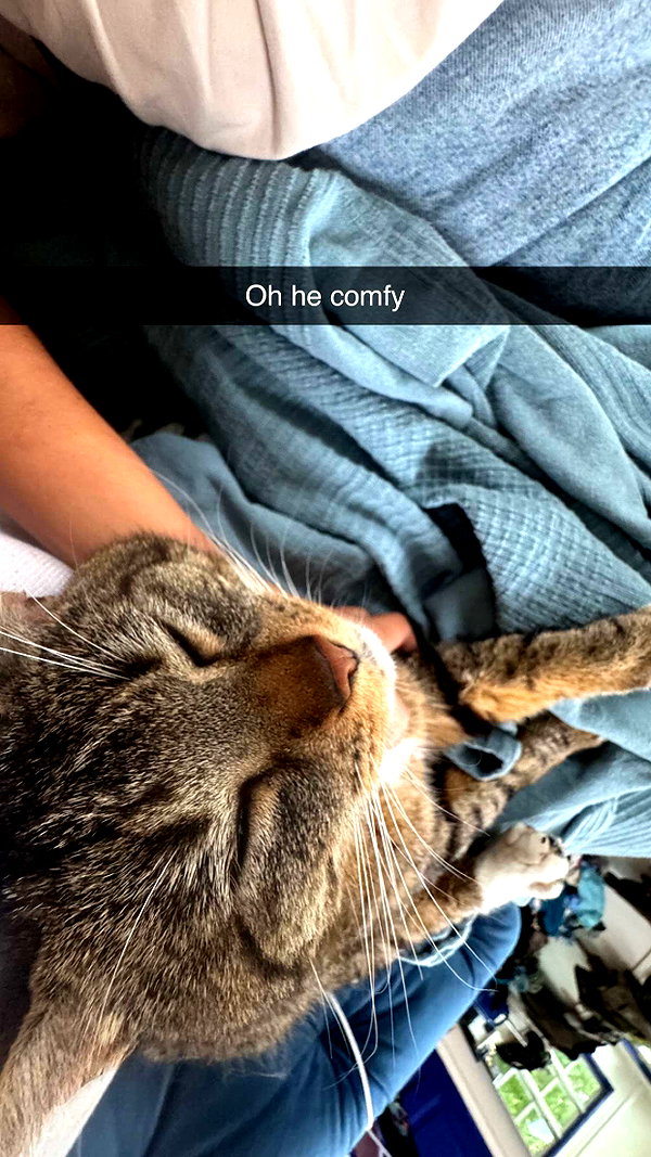 stefaniedra6 snapchat image archive image