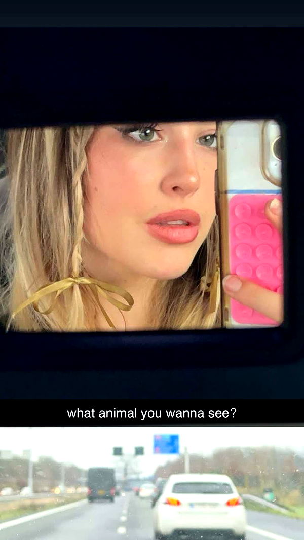 surfsterre image ~ Altpins