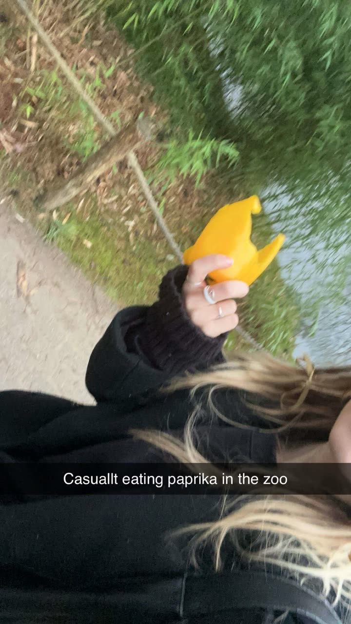 surfsterre snapchat image archive image