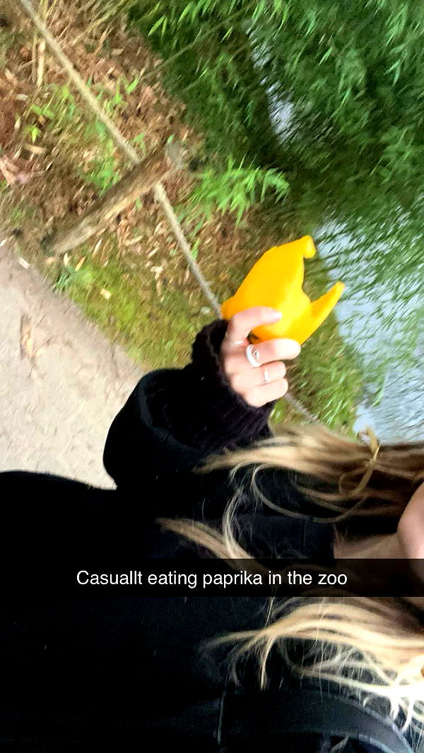 surfsterre image ~ Altpins