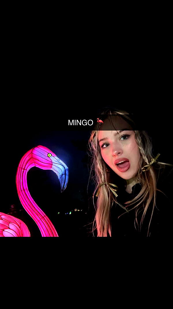 surfsterre image ~ Altpins