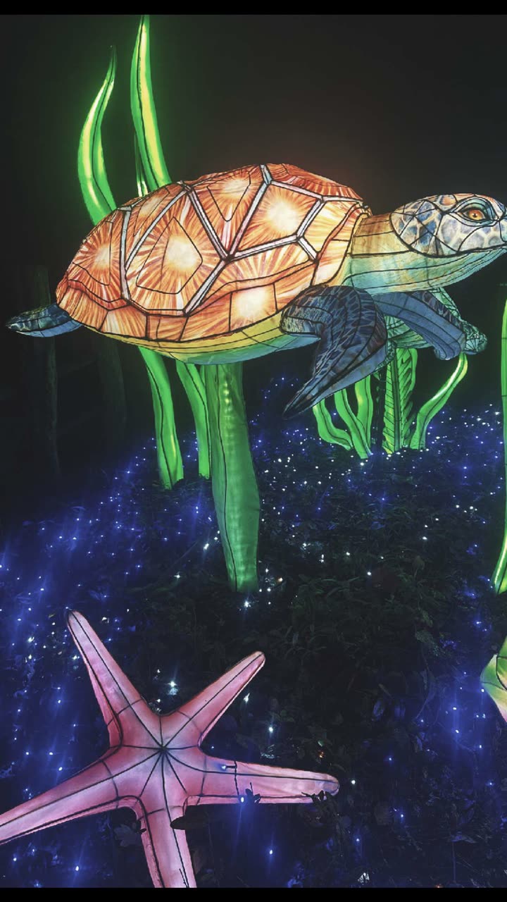 surfsterre snapchat image archive image