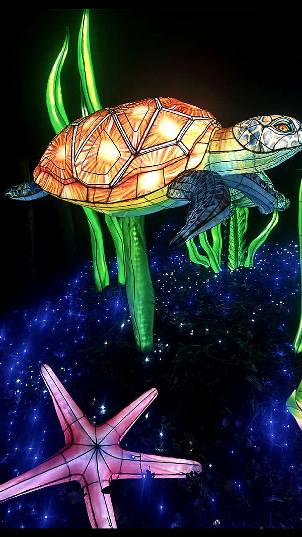 surfsterre image ~ Altpins