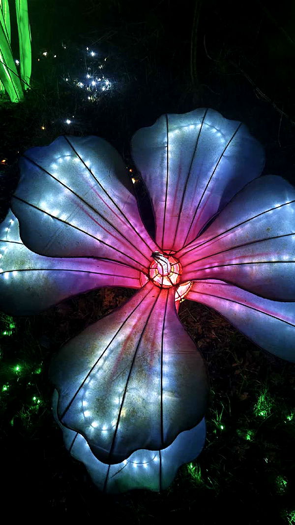 surfsterre image ~ Altpins