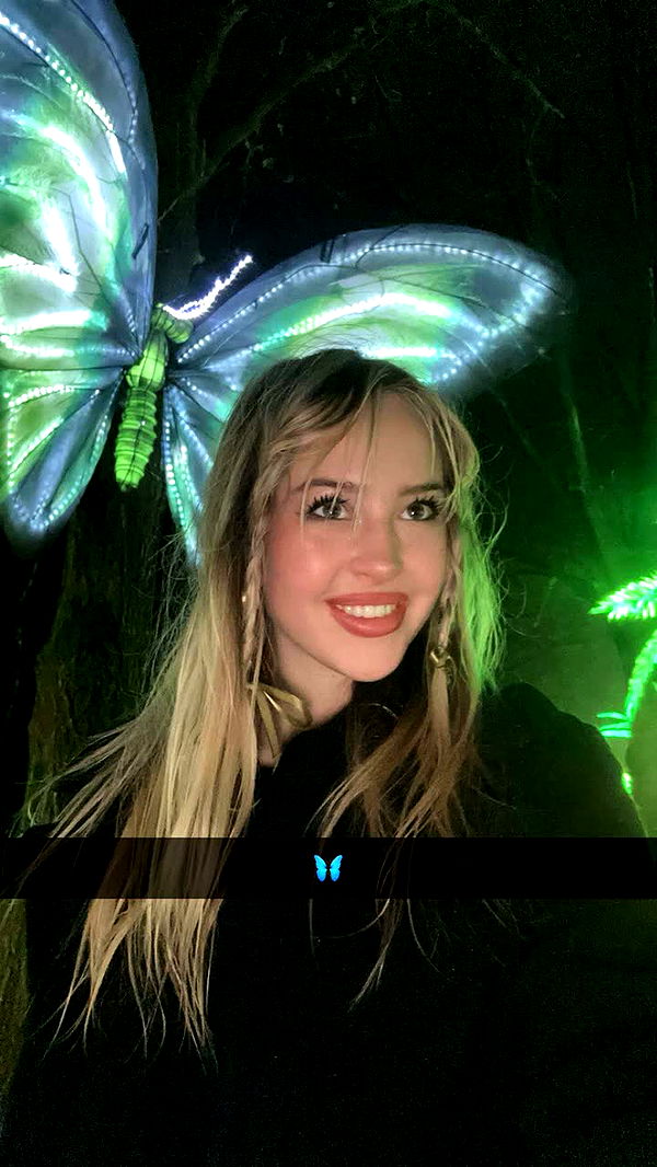 surfsterre image ~ Altpins