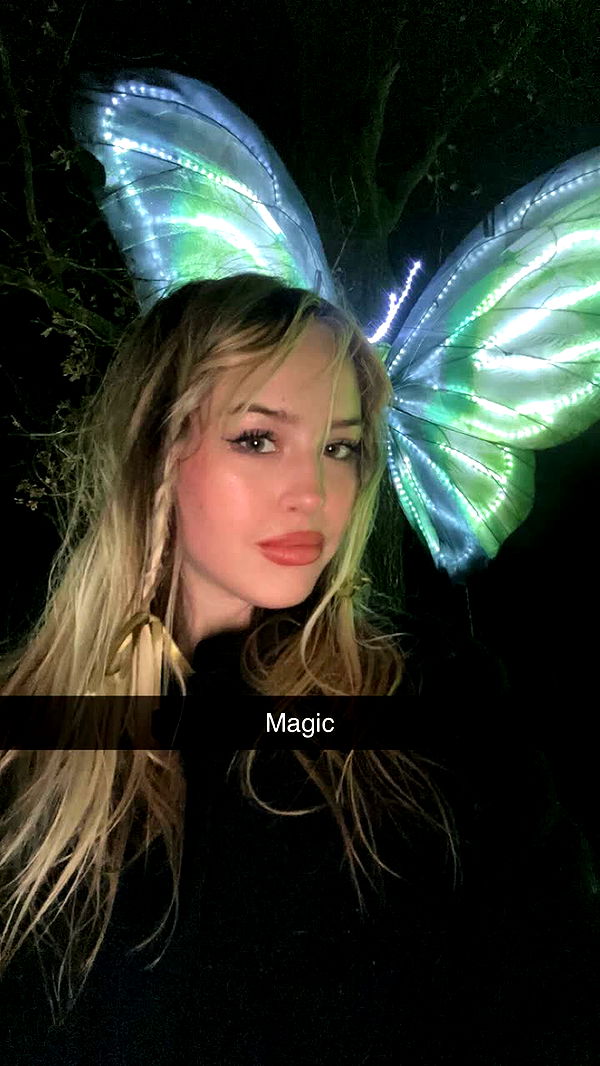 surfsterre image ~ Altpins