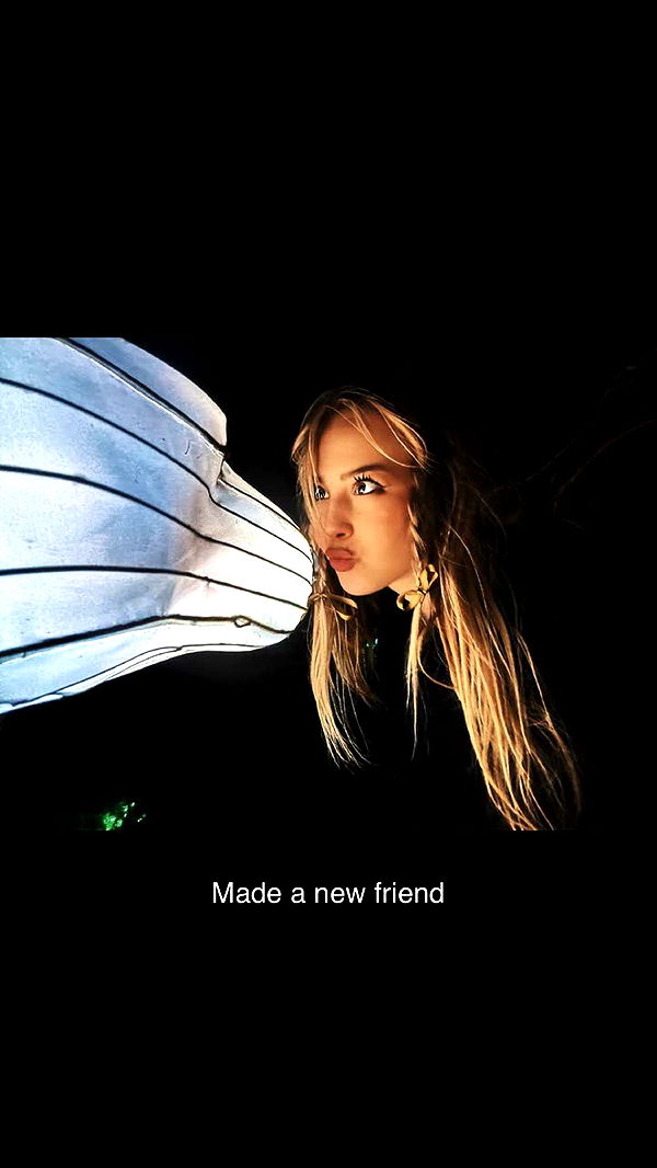 surfsterre image ~ Altpins