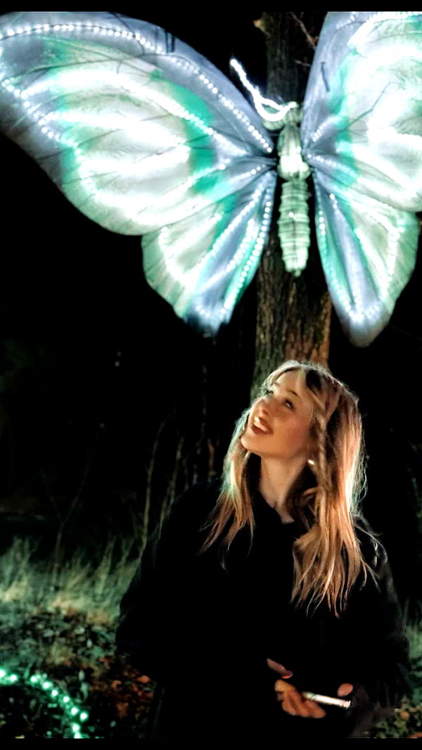 surfsterre image ~ Altpins