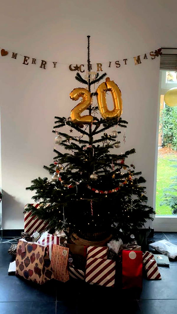 surfsterre image ~ Altpins