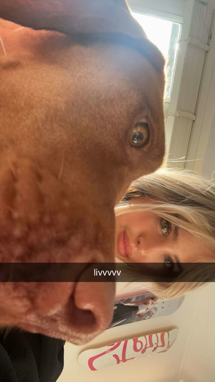 surfsterre snapchat image archive image