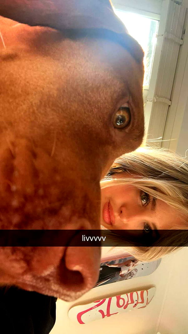 surfsterre image ~ Altpins