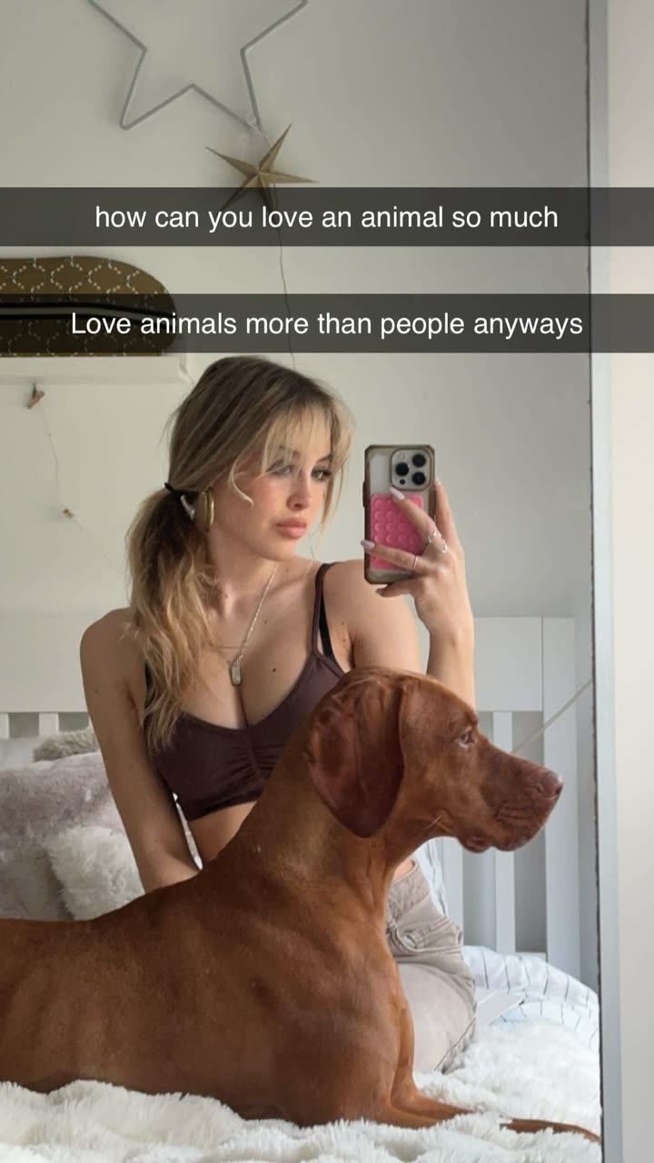 surfsterre snapchat image archive image