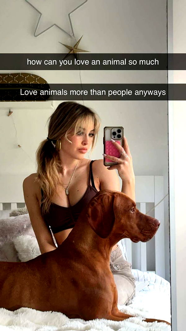 surfsterre image ~ Altpins