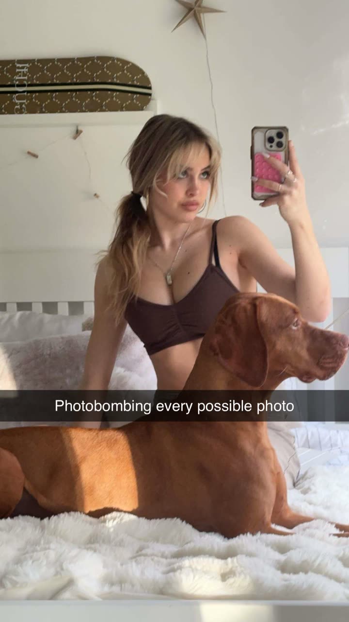 surfsterre snapchat image archive image