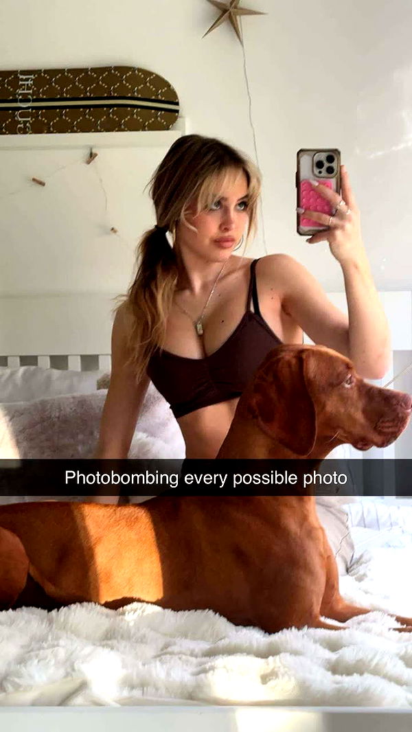 surfsterre image ~ Altpins