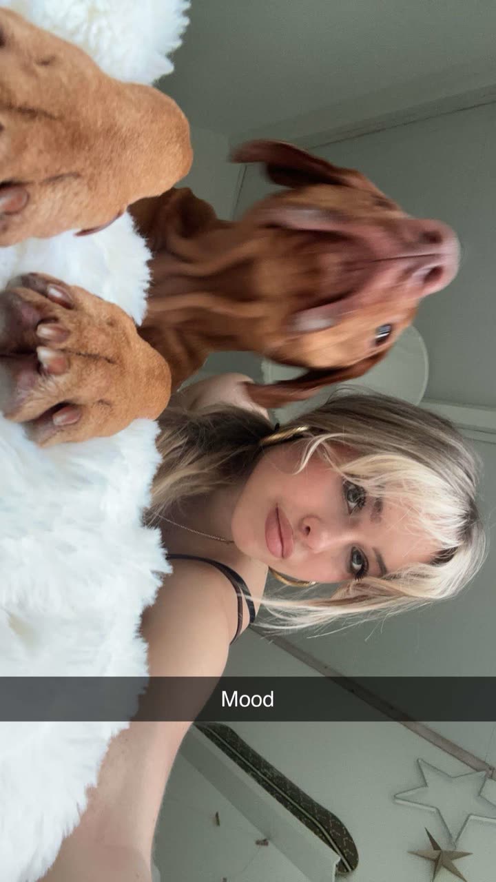 surfsterre snapchat image archive image