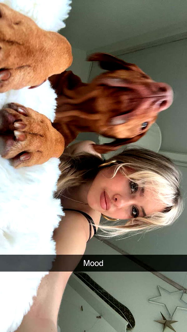 surfsterre image ~ Altpins