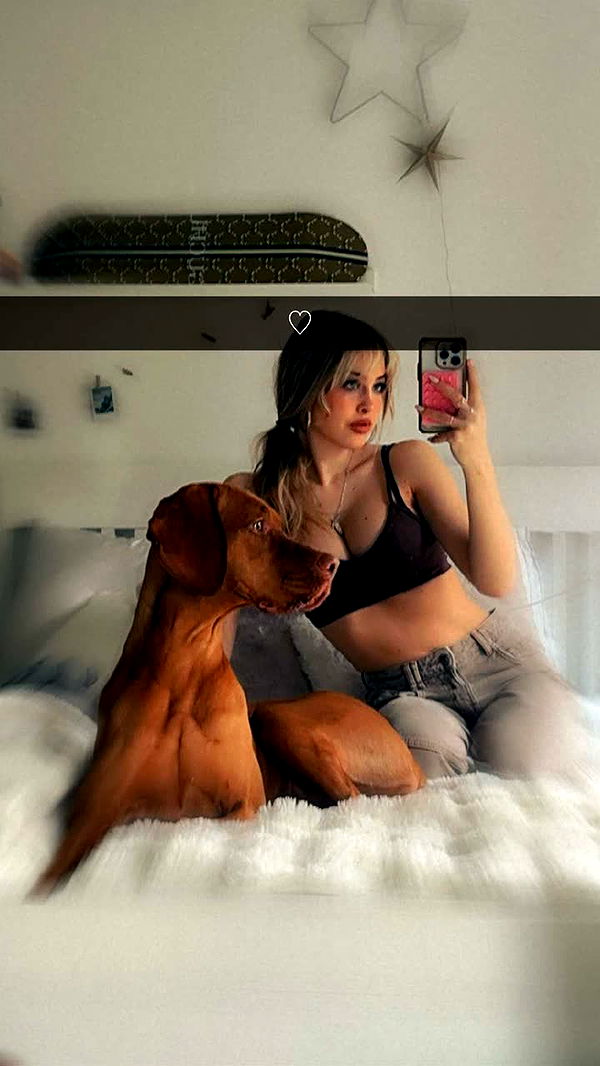 surfsterre image ~ Altpins