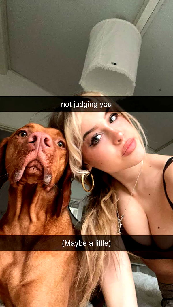 surfsterre image ~ Altpins