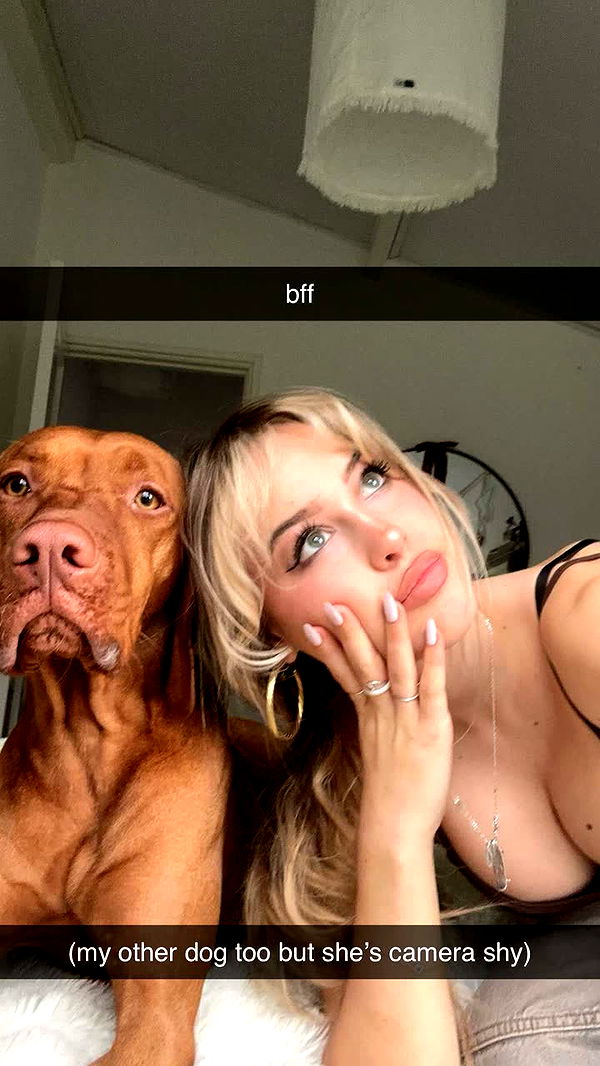 surfsterre image ~ Altpins