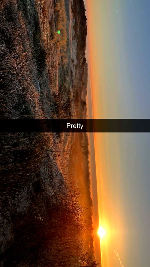 surfsterre image ~ Altpins