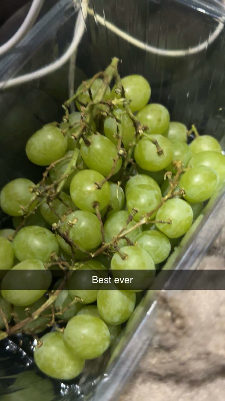 surfsterre snapchat image archive image