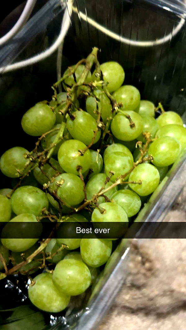 surfsterre image ~ Altpins