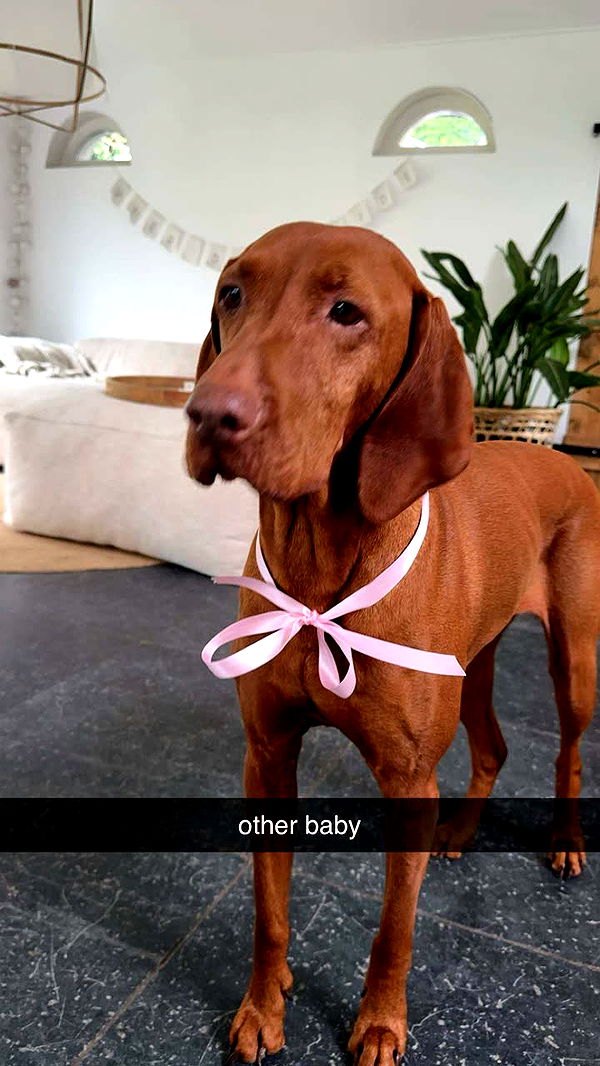 surfsterre image ~ Altpins