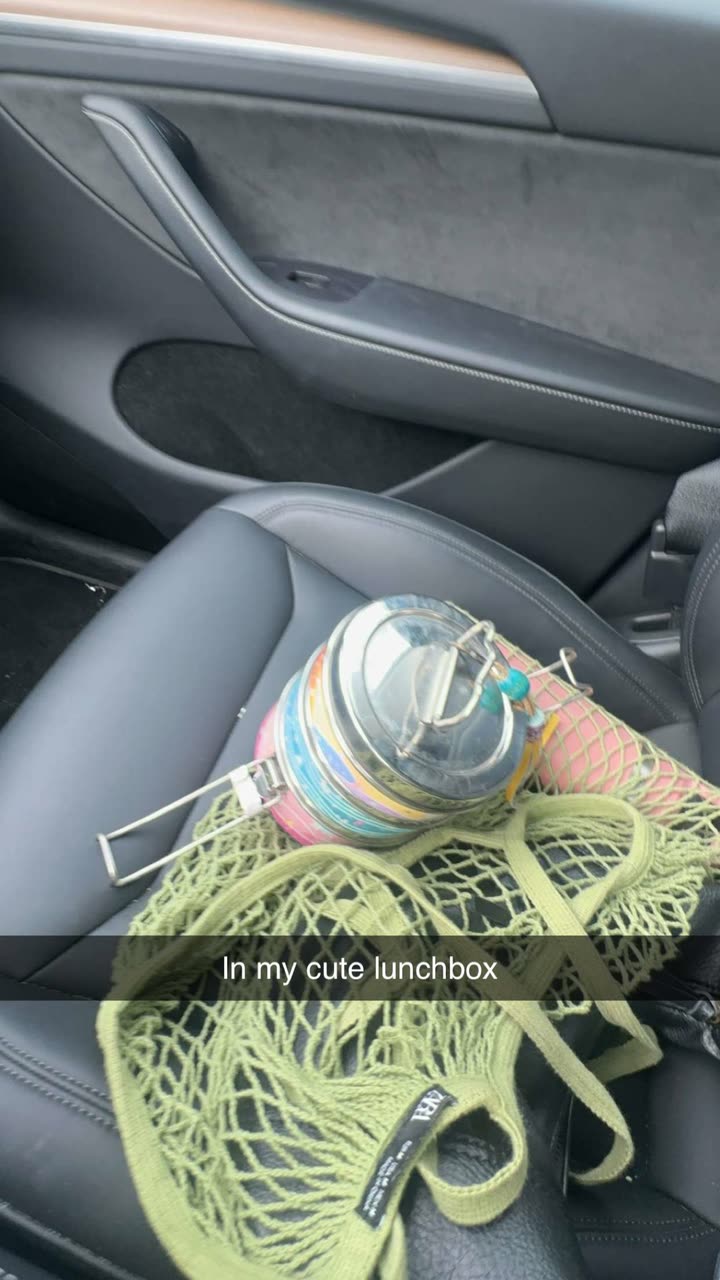 surfsterre snapchat image archive image